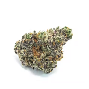 Apple Fritter (Hybrid)